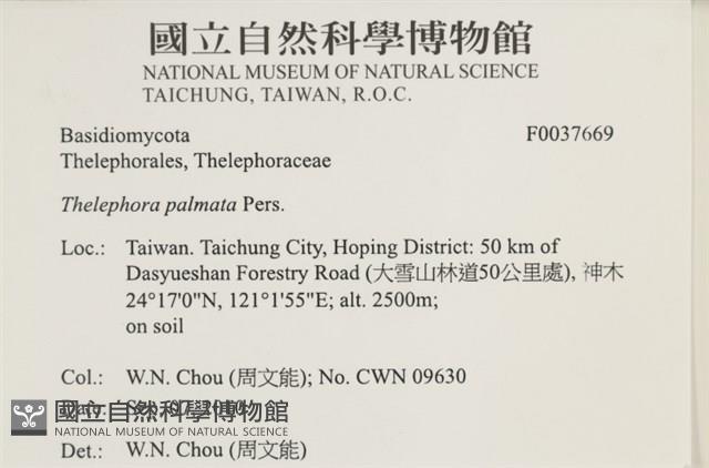 登錄號:F0037669藏品圖，第2張