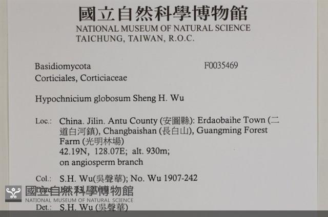登錄號:F0035469藏品圖，第2張