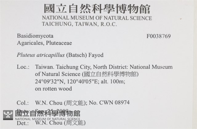 登錄號:F0038769藏品圖，第2張