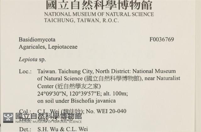 登錄號:F0036769藏品圖，第2張