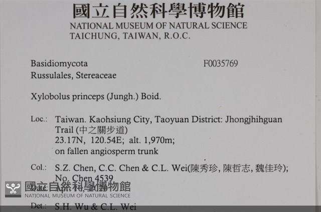 登錄號:F0035769藏品圖，第2張