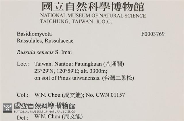 登錄號:F0003769藏品圖，第4張