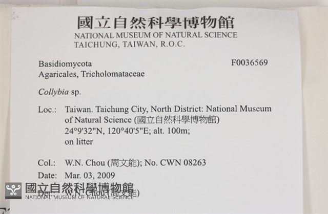 登錄號:F0036569藏品圖，第2張