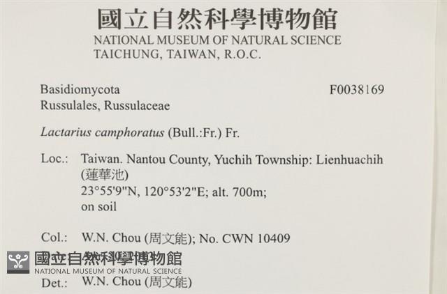 登錄號:F0038169藏品圖，第2張