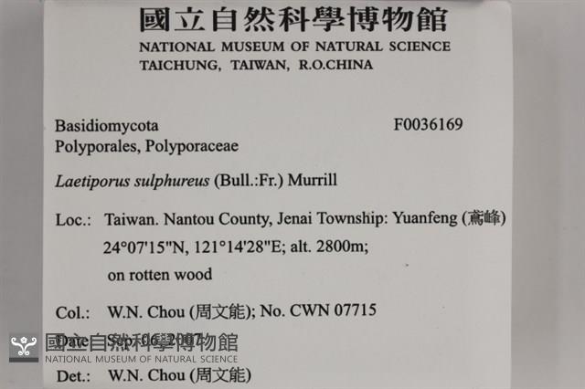 登錄號:F0036169藏品圖，第2張