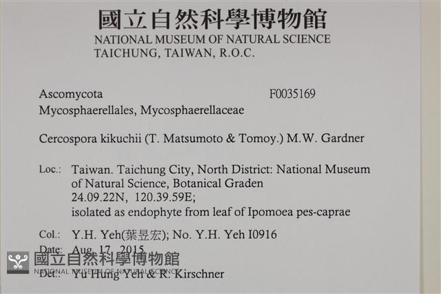 登錄號:F0035169藏品圖，第2張