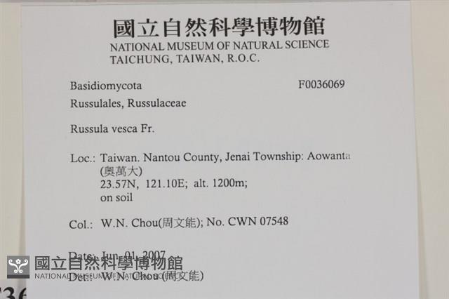 登錄號:F0036069藏品圖，第2張