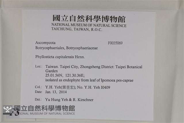 登錄號:F0035069藏品圖，第2張