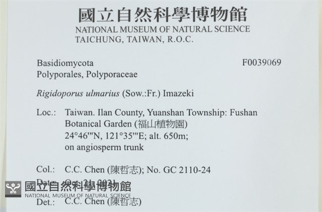 登錄號:F0039069藏品圖，第2張