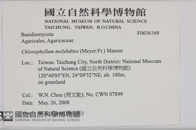 登錄號:F0036369藏品圖，第2張