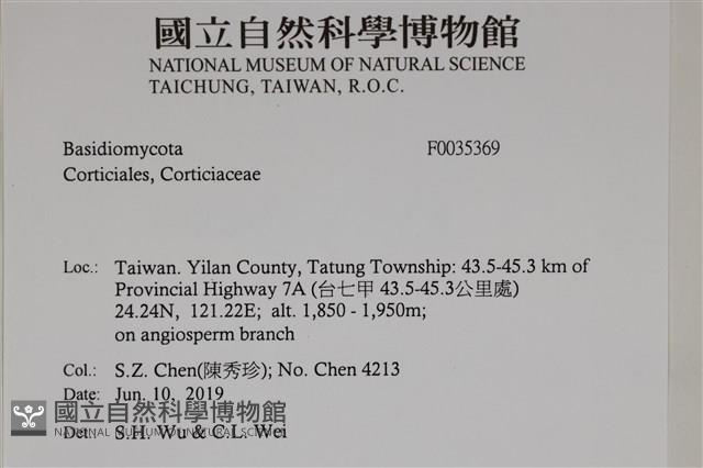登錄號:F0035369藏品圖，第2張