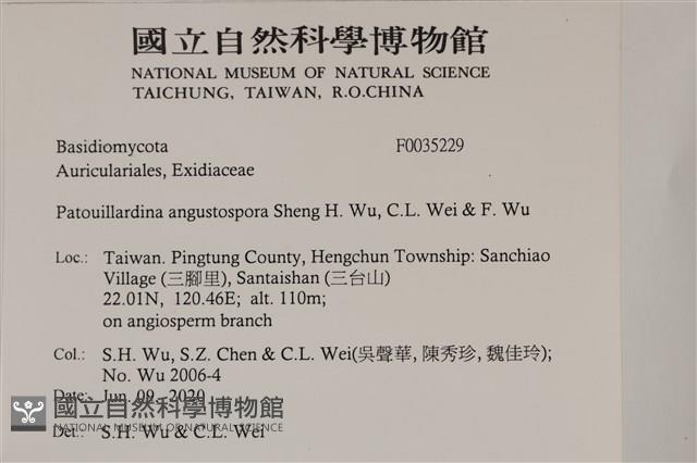 登錄號:F0035229藏品圖，第2張