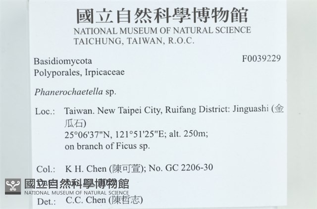 登錄號:F0039229藏品圖，第2張