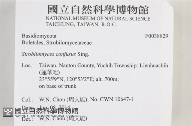 登錄號:F0038829藏品圖，第2張