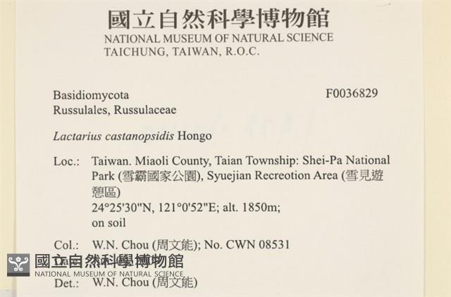 登錄號:F0036829藏品圖，第2張