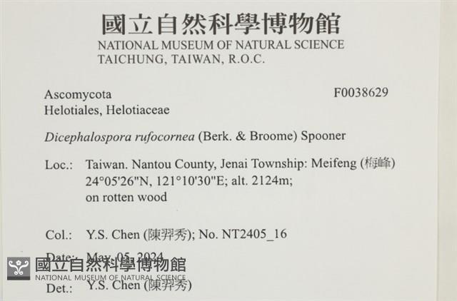 登錄號:F0038629藏品圖，第2張