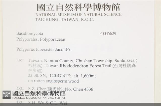 登錄號:F0035629藏品圖，第2張