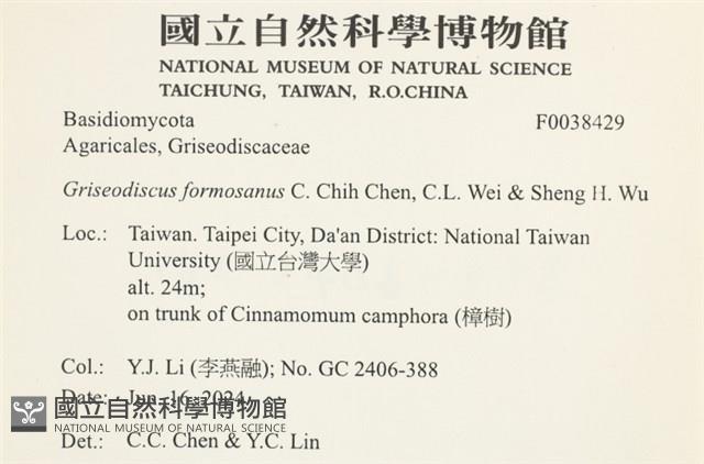 登錄號:F0038429藏品圖，第2張