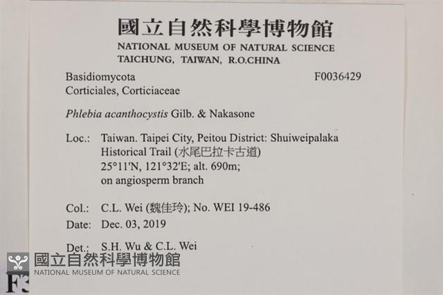 登錄號:F0036429藏品圖，第2張