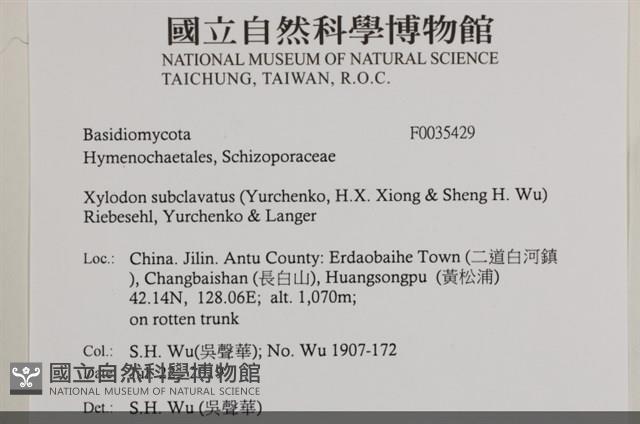 登錄號:F0035429藏品圖，第2張