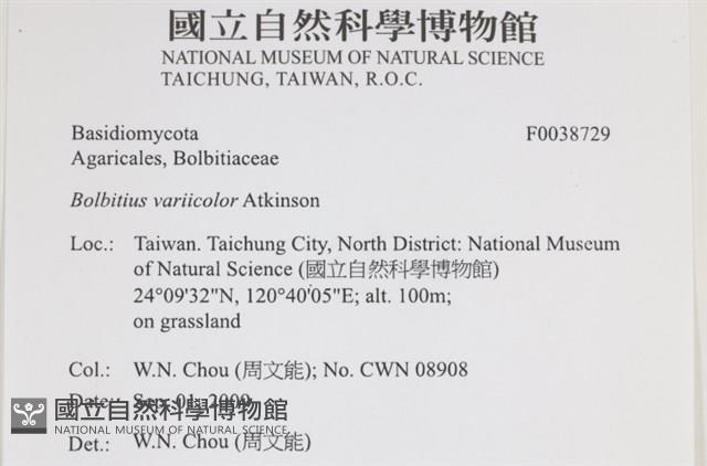 登錄號:F0038729藏品圖，第2張