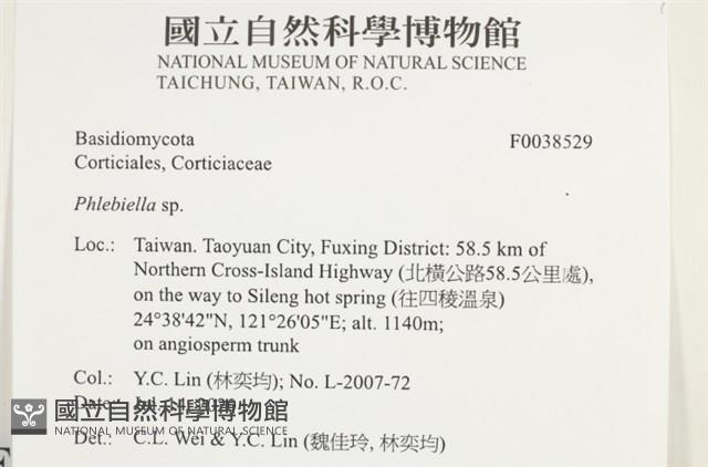 登錄號:F0038529藏品圖，第2張