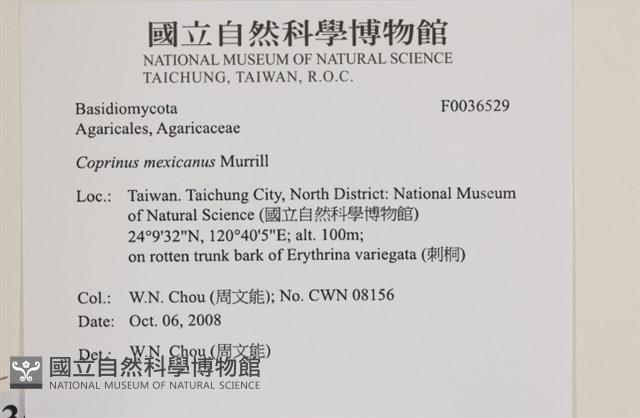 登錄號:F0036529藏品圖，第2張