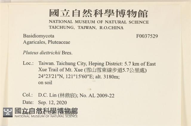 登錄號:F0037529藏品圖，第2張