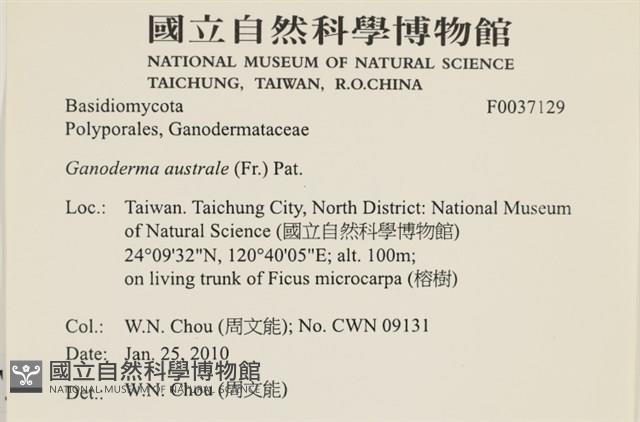 登錄號:F0037129藏品圖，第2張