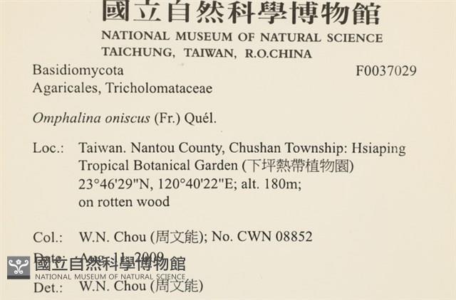登錄號:F0037029藏品圖，第2張