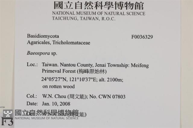 登錄號:F0036329藏品圖，第2張