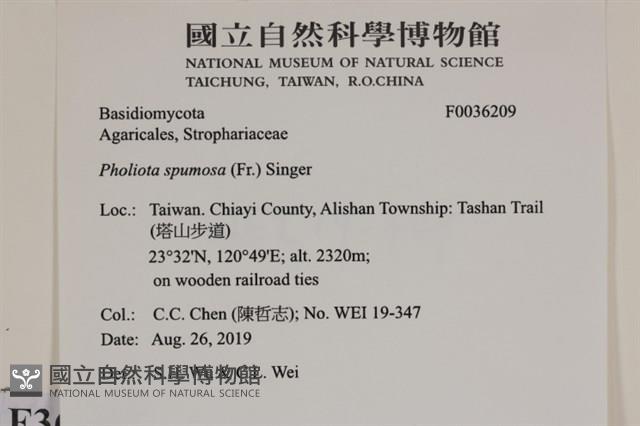 登錄號:F0036209藏品圖，第2張