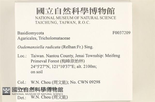 登錄號:F0037209藏品圖，第2張