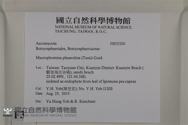 登錄號:F0035209藏品圖，第2張