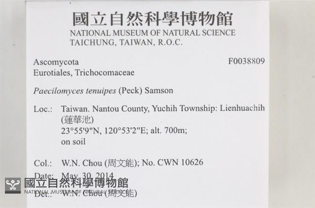 登錄號:F0038809藏品圖，第2張