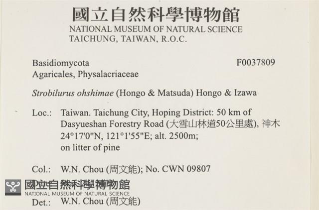 登錄號:F0037809藏品圖，第2張