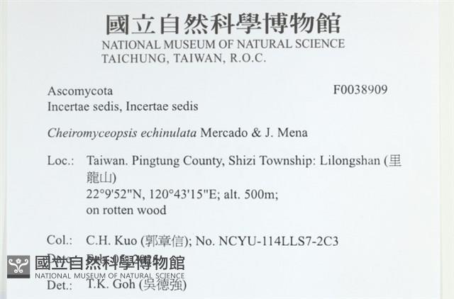 登錄號:F0038909藏品圖，第2張