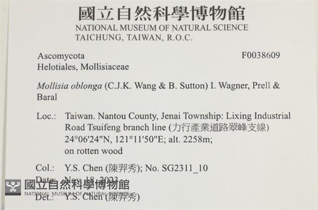 登錄號:F0038609藏品圖，第2張