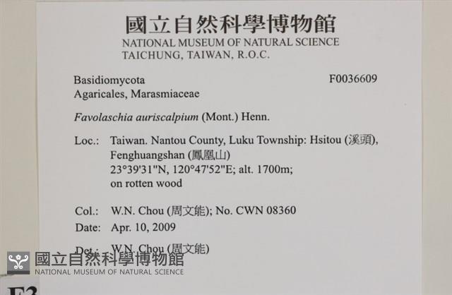 登錄號:F0036609藏品圖，第2張