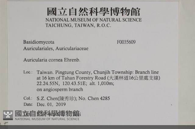 登錄號:F0035609藏品圖，第2張