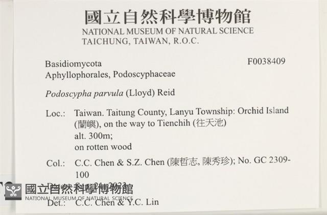 登錄號:F0038409藏品圖，第2張