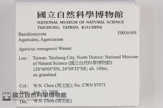 登錄號:F0036409藏品圖，第2張
