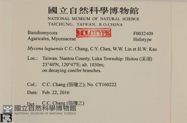 登錄號:F0032409藏品圖，第4張