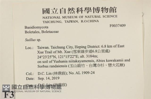 登錄號:F0037409藏品圖，第2張