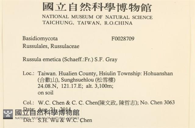 登錄號:F0028709藏品圖，第2張