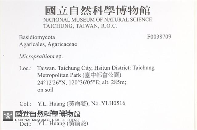 登錄號:F0038709藏品圖，第2張