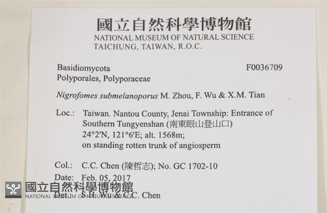 登錄號:F0036709藏品圖，第2張