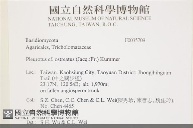 登錄號:F0035709藏品圖，第2張