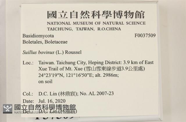 登錄號:F0037509藏品圖，第2張