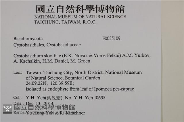 登錄號:F0035109藏品圖，第2張